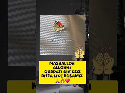 alloh subhanalloh #islami #shortvideo #video #yputube