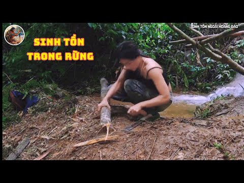 Cô Gái Sinh Tồn Một Mình Trong Rừng