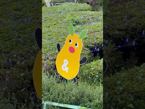 ズーボくんと東山動植物園の幻想的イルミネーション（2025年8月9日） サムネイル