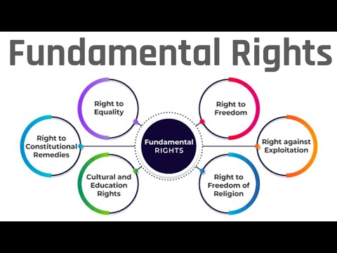 Polity Fundamental Rights | All rights | UPSC Daily Live Classes | UPSC Latest News