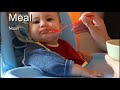 Understanding Vocabulary and Concepts