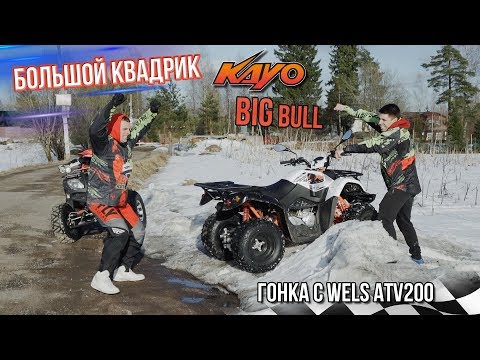 Kayo AU