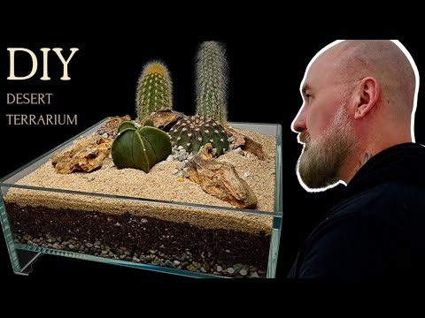 DIY Desert TERRARIUM with tiny CACTUS/CACTI in a D #terrarium #cactus #cactiandsucculents #cacti #houseplants #stepbystep 

Simple DIY desert scape in 