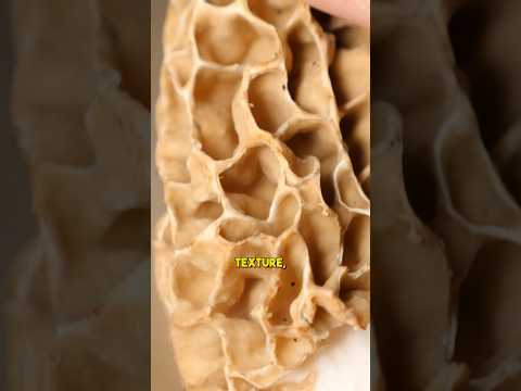 Do NOT use butter to cook morels
