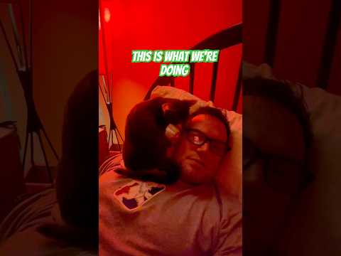 Cats Don’t Care: Pierre Finds His Spot