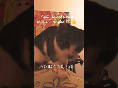 Fiaba Futuristica: Pollicino Nel Paese Delle Meraviglie!