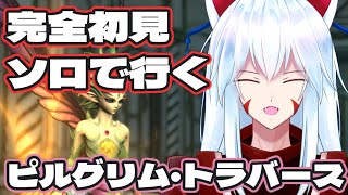 【FF14/ネタバレ注意】黄金編DD「ピルグリム・トラバース」ソロ攻略5回目!!～51Fから～【Gaia/Alexander】