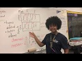 Punnett Square and Genetic Probability