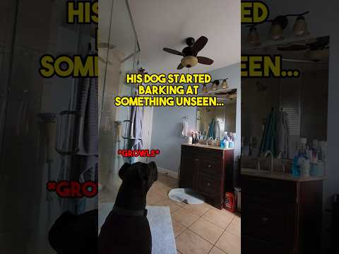DOG Senses EVIL Presence in Bathroom…