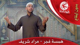 همسة فجر (بدون إيقاع)  - مراد شريف | طيور الجنة بلس