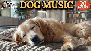 강아지가 좋아하는 음악🐶💖강아지 수면 음악 20시간🐶🎵분리불안 해소를 위한 감성 음악🎵평온함을 주는 강아지 수면 유도 음악🎵외출할때 출근할때 꼭 틀어주세요 by 힐링메이트