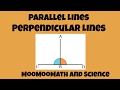 Exploring Slopes of Parallel and Perpendicular Lines