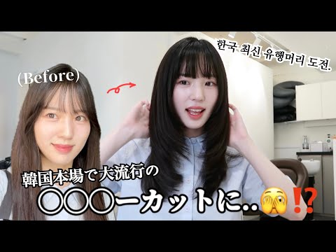 ついに韓国美容院で大流行のあの髪型にしました..🫣💈 (&カロスキルお出かけ）