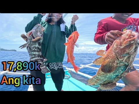 Super JACKPOT Bagong tuklas sa mga Grouper!