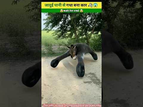 जादुई पानी से गधा बना कार 😱wood working with art handcraftidea/home maderealtalent skill-art
