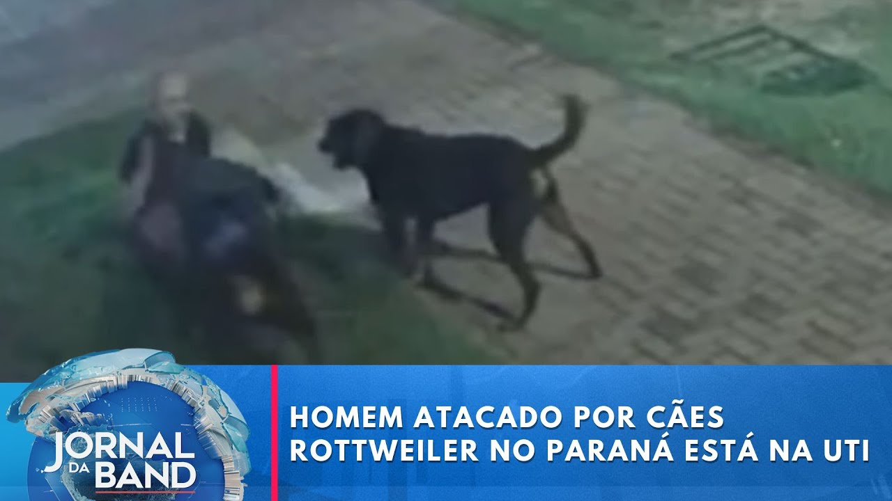 Homem atacado por cães rottweiler no Paraná está na UTI TV Online Homem atacado por cães rottweiler no Paraná está na UTI