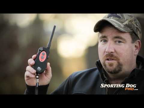 DT Systems H20 Plus Dog Training Collars Review - SportingDogPro.com
