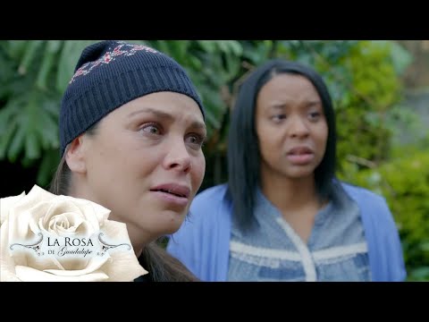 La Rosa de Guadalupe 2024  - El secreto de Eloísa ( Parte 2) HD