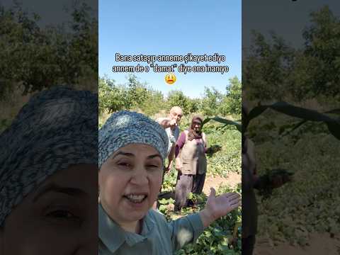 Gel de annem yokken sataş🤣#damat #kaynana #anne #karıkoca #dublaj #aşk #akım #mizah #fatmalilife