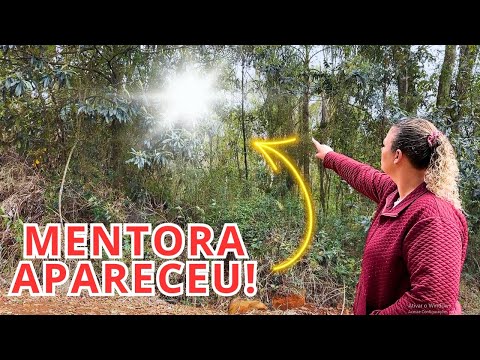 LUZ APARECE E MENTORA CONFIRMA PRESENÇA - SPIRITBOX