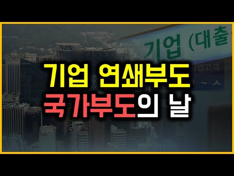 기업 연쇄부도 - 국가부도의 날