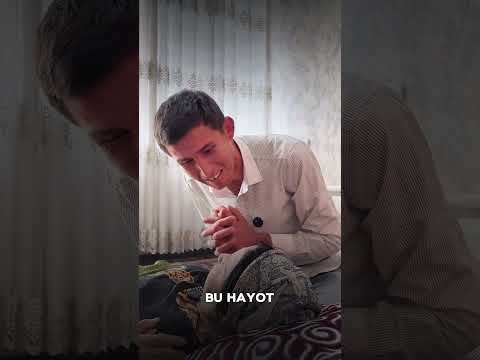 15 ноября 2025 г.