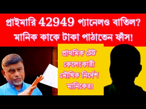 প্রাথমিক হাজার হাজার চাকরি বাতিলের পথে? মানিক টেট দূর্নীতির আসল খেলোয়াড়?