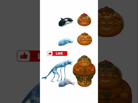 Unboxing Weight Evolution 10Kg Bambini Felicini X Chicleteira Bicicleteira Weight 300Kg
