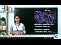 Nervous System Functions and Actions