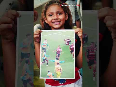 image para ilustrar o artigo