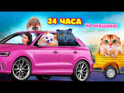 В ПЕРВЫЙ Раз 24 ЧАСА в МАШИНЕ с КОТЯТАМИ! С СОБАКОЙ и ЕЖОМ! ПУТЕШЕСТВИЕ КОШКИ и СОБАКИ НА МАШИНЕ