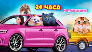 В ПЕРВЫЙ Раз 24 ЧАСА в МАШИНЕ с КОТЯТАМИ! С СОБАКОЙ и ЕЖОМ! ПУТЕШЕСТВИЕ КОШКИ и СОБАКИ НА МАШИНЕ
