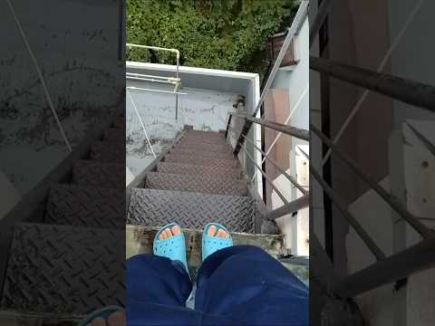 さようなら。皆さんがこの動画を見ているということは私はもうこの世にはいません。#shorts #バズりたい #バズれ #fyp