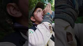 I Asked a Wildlife Guide to Talk to Monkeys and Here's What Happened