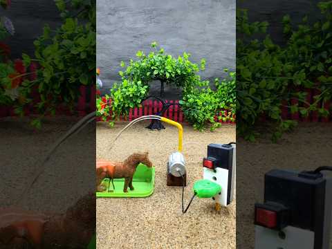 DIY how to make horse water bathed ! mini motor water pump mini project # 351