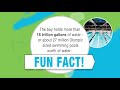 Chesapeake Bay Water Facts