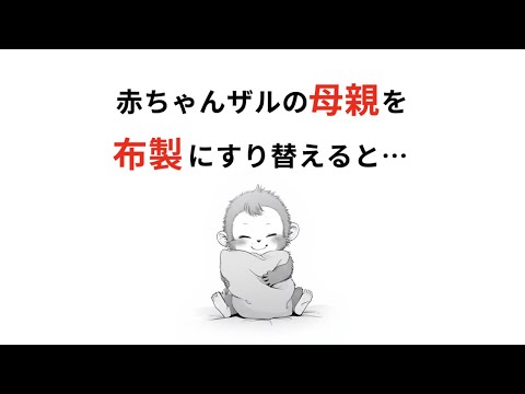 【雑学】大量の赤ちゃんザルを鬱に追い込んだ禁断の研究、愛着実験