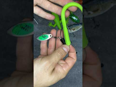 Lure réalisation ! #fishingvideo #fishing #pêche #brochet #luremaking