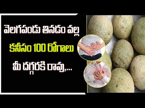 వెలగపండు తినడం వల్ల కనీసం 100రోగాలు మీ దగ్గరకి రావు.. |Velagapandu| #woodapple #elephantapple