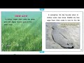 Ocean Knowledge and Conservation Concepts
