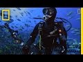 Exploration of Pristine Oceanic Islands