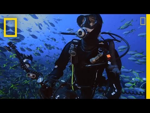 YouTube video thumbnail: A Journey to Chile's Wild Islands
