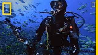 YouTube video thumbnail: A Journey to Chile's Wild Islands