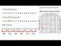Genetic Mutations and Their Effects