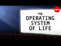 Cellular Processes and Factory Analogy