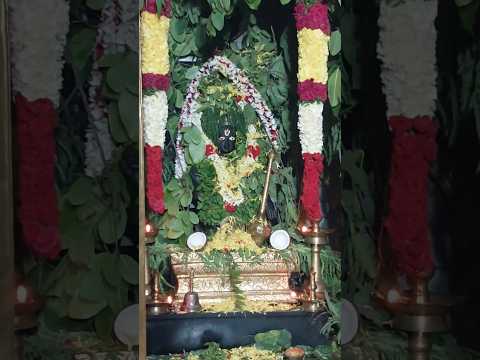 అయ్యప్ప #swami  #pooja #tree #leaves  #2024 #sabarimala #shorts #viralreels