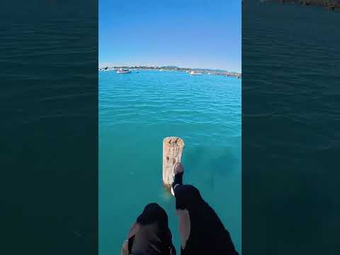 The North Sea Gone Wrong