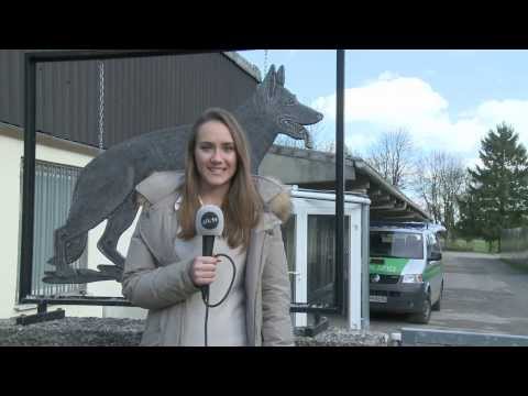 Immer der Nase nach: Beim Training mit Spürhund Rex