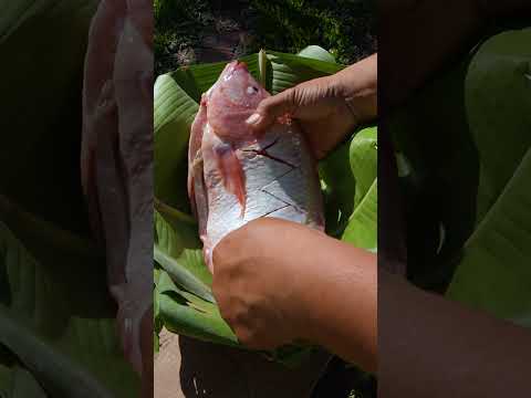 Steamed Redfish Delicious Food @foodoclocktv