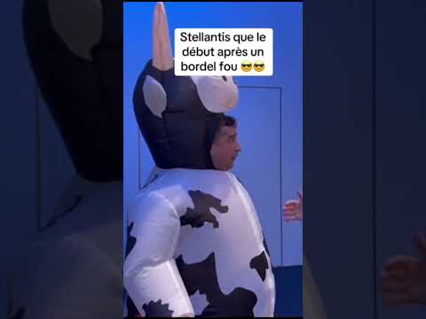 IL PÈTE LES PLOMBS CONTRE STELLANTIS
